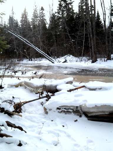 Canada New-Brunswick 2013-02-08%252015.22.30