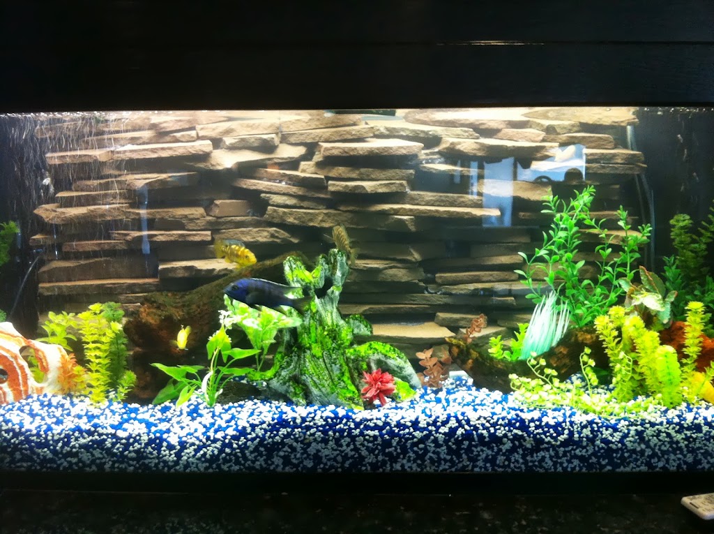 10 gallons planted aquarium with red cherry shrimps IMAGE_66357D9D-B2A8-4C32-938F-F190F8C4ED31