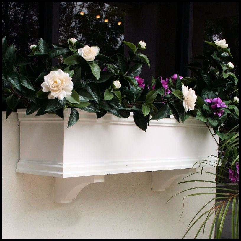 الزهور و نباتات الزينة للشرفات Bliss-window-boxes