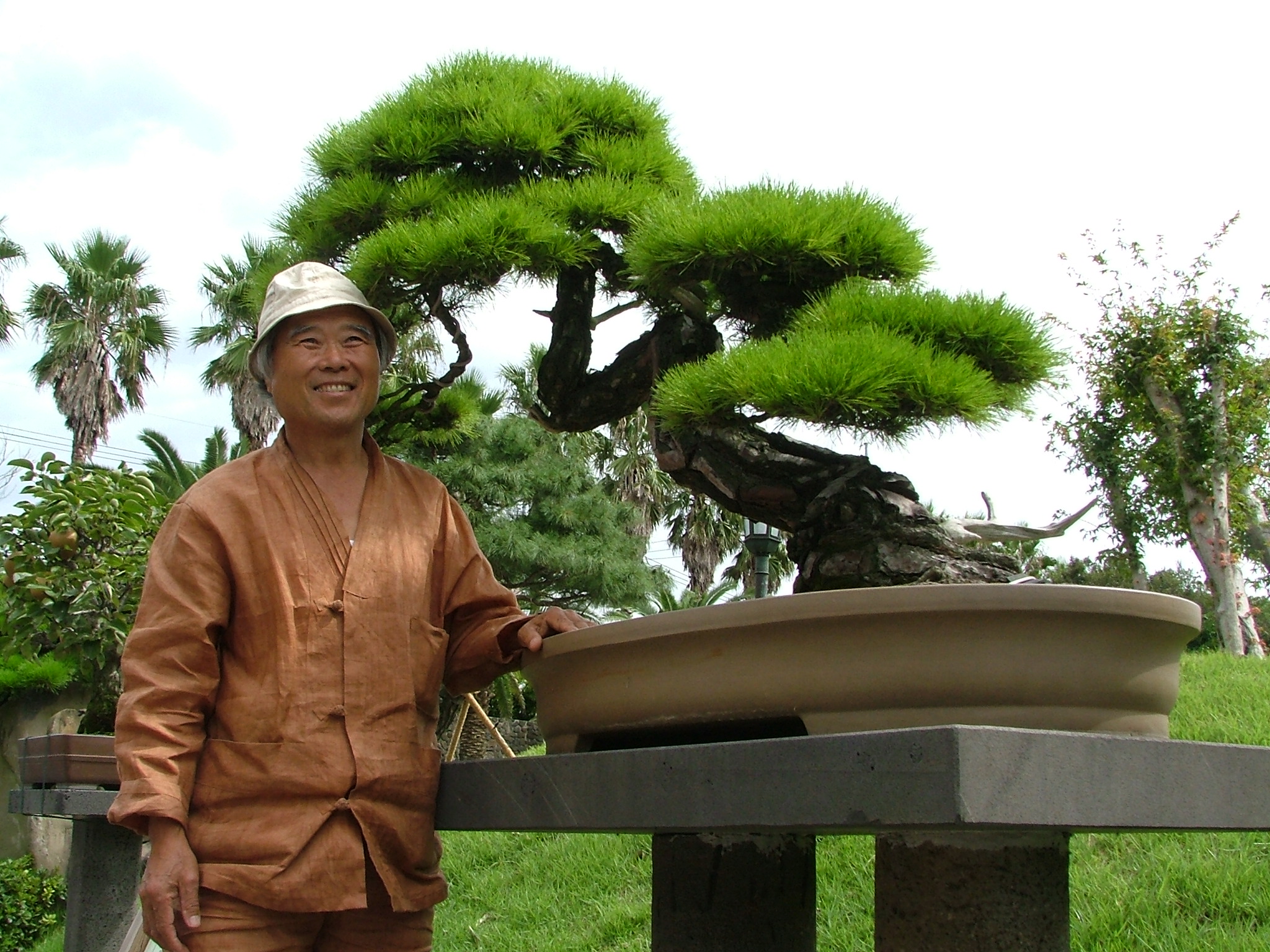 Penjing é o mesmo que bonsai? South-Korea-Jeju-Island-Bunjae-Artpia-Mr-Bum-Young-Sung-in-his-gardenthree-c-Vincent-Ross