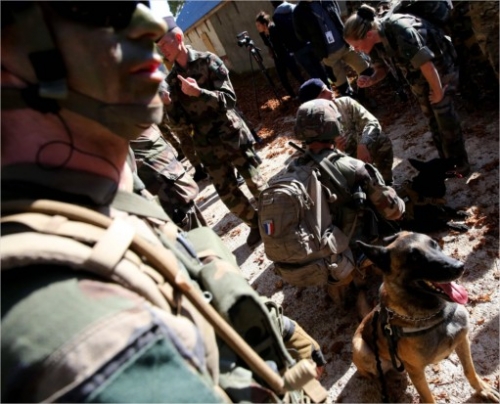 Une armée qui a du chien et des équipes cyno qui ont leur championnat 2976523327