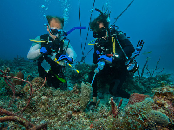 10 JOURS SOUS LES MERS(vie dans la capsule sous-marine) 29e5bd6e