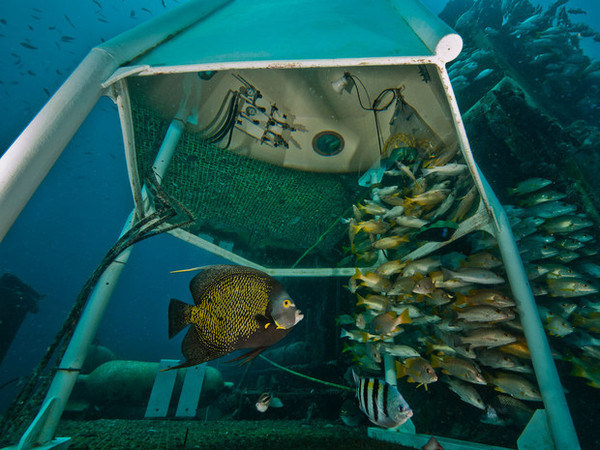 10 JOURS SOUS LES MERS(vie dans la capsule sous-marine) 35f2f291