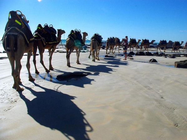 AUSTRALIE-DU BUSH A L'OCEAN, 30.000 KMS A TRAVERS L'AUSTRALIE(photos,textes) 47a80625