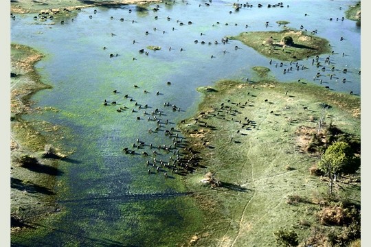 BEAUTES TERRESTRES VUES DU CIEL (monde entier) 9171d0b7