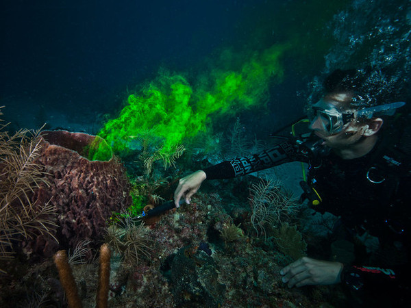 10 JOURS SOUS LES MERS(vie dans la capsule sous-marine) C0619fb6