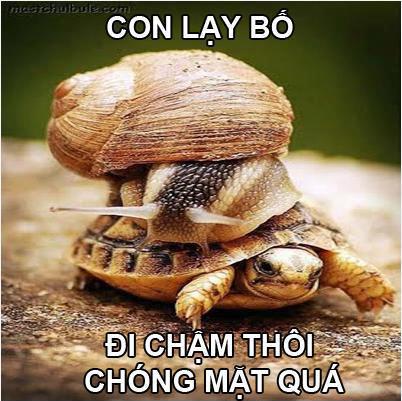 xe ôm tóc độ cao :)) 43701.1334282087