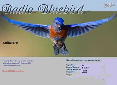 eQSL de Bluebird Calimero_radio