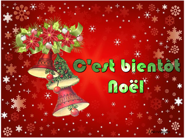 Joyeuses Fêtes de Noel 78f00595