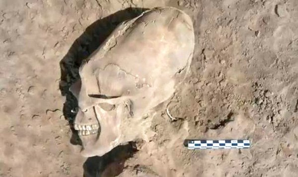 D'étranges crânes largement déformés découverts au Mexique Alien-skull-mexico-1