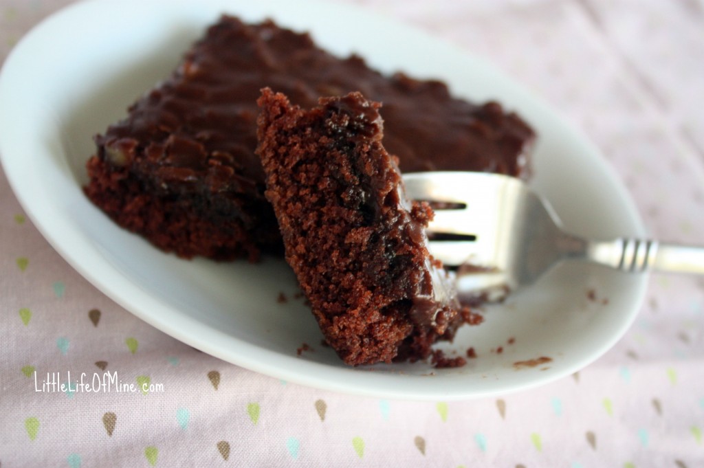 Chocolate Sheet Cake  IMG_9147-blog-1024x681