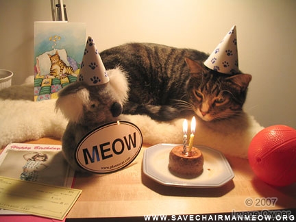 Spoiler Alert~!! Birthday_cat