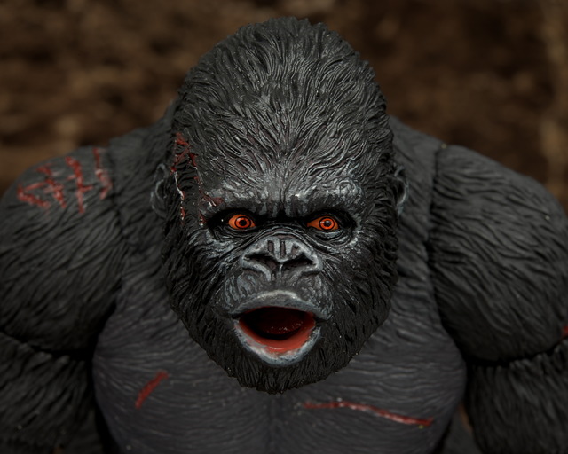 [Bandai] S.H. Monster Arts: King Kong - Página 2 A17e1559-s