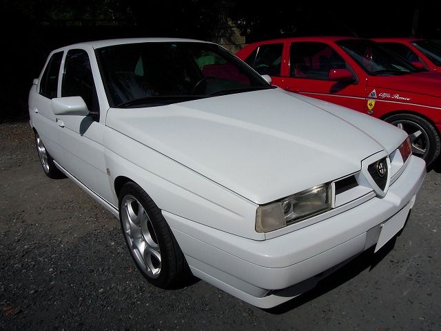 llantas - Alfa 155 con llantas de Mito 86ee27d7