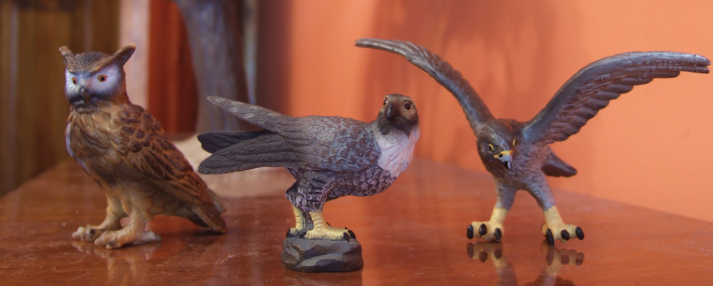 My first CollectA animals: the Beautiful Five 100812_Collecta_falcon_threesome