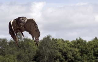 13/06/2011 - CdC est Photo du jour! 2011_06_13_025118_320_40