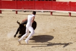 Courses Camarguaises 2011_07_31_000342_150_32