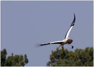 5/04/2013 - jacquo est Photo du jour! 2013_04_5__320_27