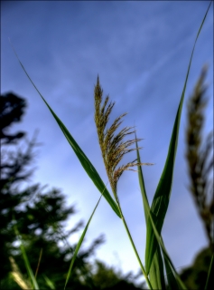 août 2013 2013_08_31__320_28