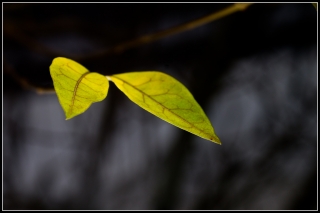 20/01/2014 - SuperN!ko est Photo du jour! 2014_01_20__320_35