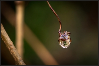 4/02/2014 - perreg est Photo du jour! 2014_02_4__320_8