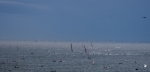 Route du Rhum 2014  les bateaux 2014_11_05__150_51