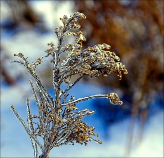 décembre 2016 2016_12_30__320_39