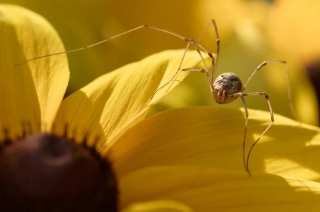 25/08/2019 - cariboudargent est Photo du jour! 2019_08_25__320_74