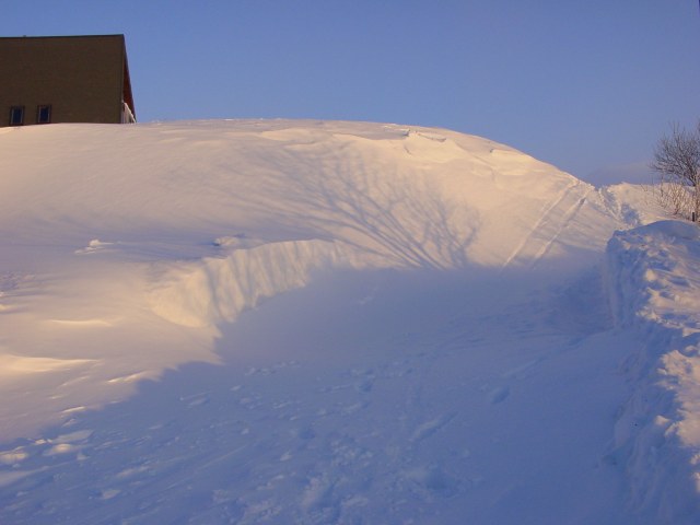 Dpla: Hiver dans le Sancy 107