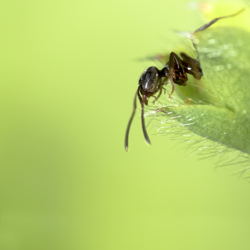 Oh pu**ain ! C'est haut ! 20130603175721-c00814f1