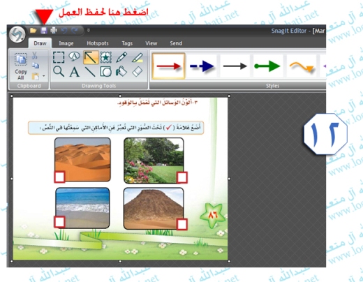 برنامج لتصوير الشاشة SnagIt  Snag12