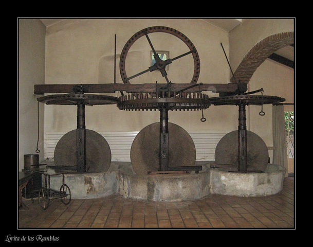 Vieux moulin réhabilité... Moulin2