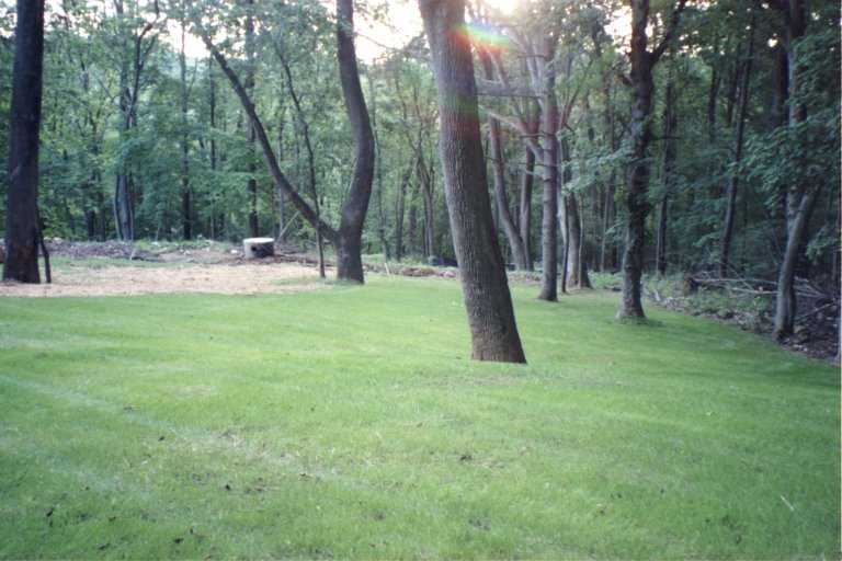 L'arrière de la maison. Backyard