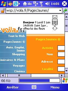 windows - Vodafone Live / SFR WAP fonctionnels ? Capture016