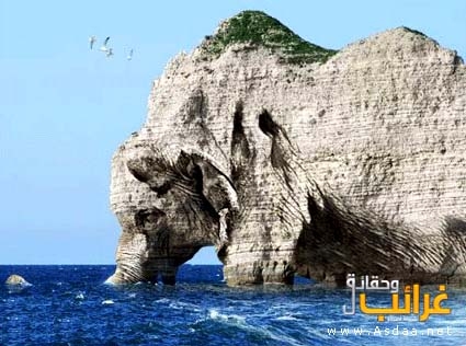 صور ثابتة لخداع البصر B6955e4b83