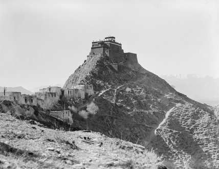  Potala 670386