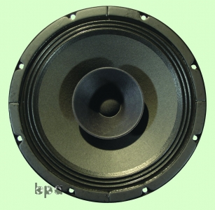 10" DIY OB speaker Cia_ch250