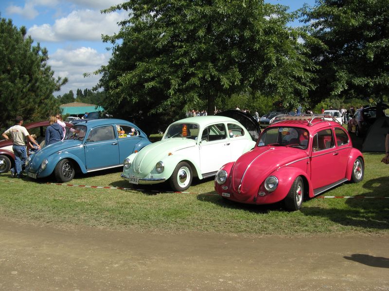 VW Show du Sud Ouest --vos photos-- Vwshow08(62)