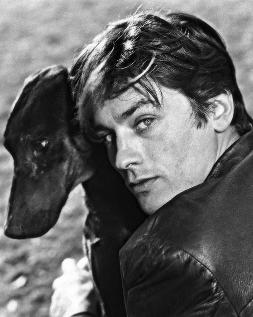 Alain Delon (très belle photo) 259d01de