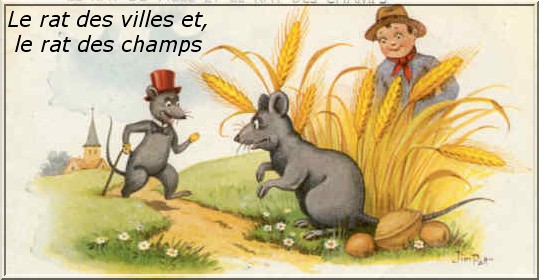 VILLE OU CAMPAGNE ? 5c6212b3