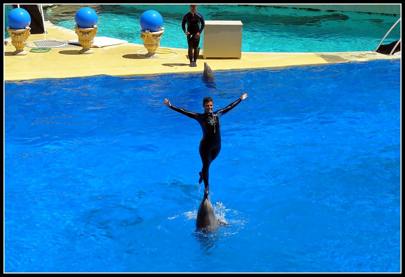 Une journée à Marineland 38