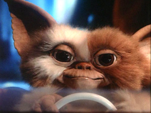 URGENTISIMO Gizmo