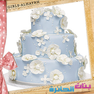 عيد ميلاد الغالية Life Princess 88902