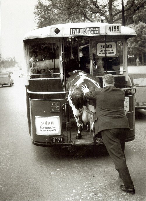  ღೋƸ̵̡Ӝ̵̨̄Ʒღ  LOS RECUERDOS DE LA ABUELA....  ღೋƸ̵̡Ӝ̵̨̄Ʒღೋ  - Página 8 005