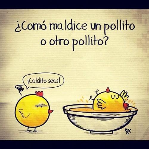 HUMOR   II Pollo-pio-chistes-pollos-L-S4NdPq