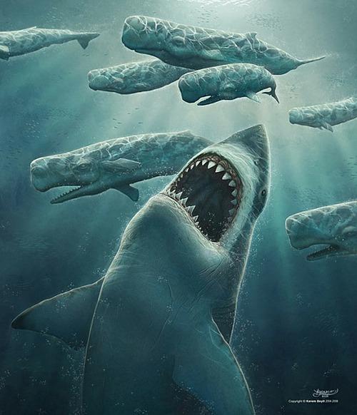 supera la imagen anterior - Página 31 El-megalodon-carchadoron-megalodon-L-aggwGZ