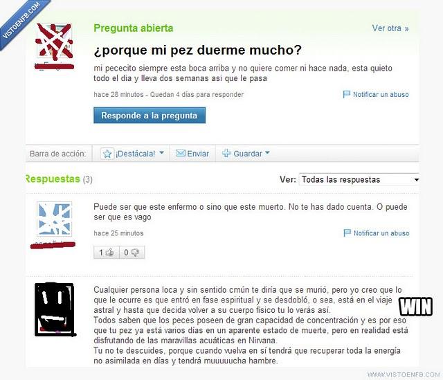 Preguntas tontas en Yahoo (Variadas en Pantallazo) XD 22-preguntas-absurdas-yahoo-respuestas-L-zquuKj