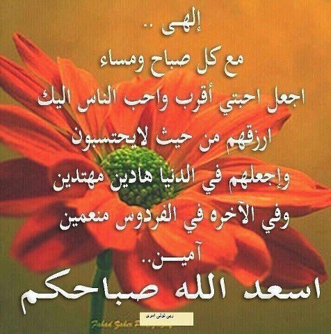 أسعد الله صباحكم ...و .. مساؤكم خيرات . - صفحة 26 2942_01379307595