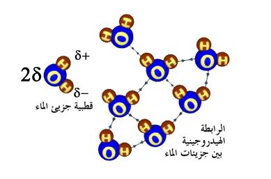 قوى الترابط بين الجزيئات (شرح مفصل ) 1123