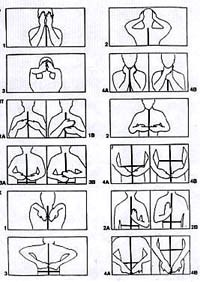 طاقة الكون بين يديك  كتاب يكشف العلاقة بين الجسم والروح والعقل 0711-4_Reiki_hand_positions